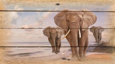 Eski ahşap fil resmi