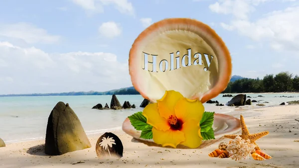 Beach Foto Med Seashell Och Holiday Motiv — Stockfoto