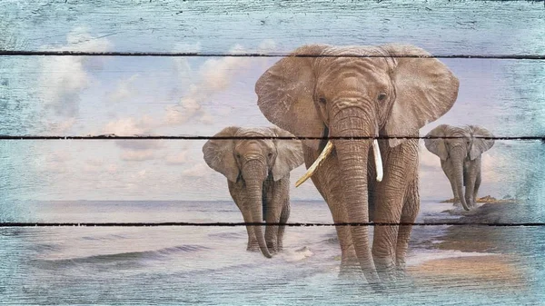 Eski ahşap fil resmi