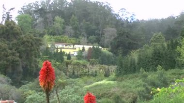 Madeira Levadas zammı
