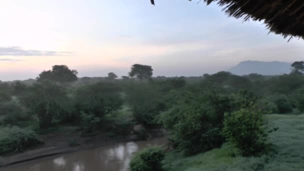 Salida Del Sol Safari Sabana Kenia — Vídeos de Stock