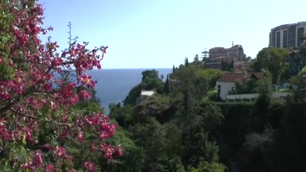 Madeira Başkenti Funchal — Stok video