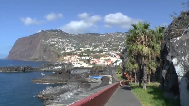 Fiskeläge Madeira — Stockvideo