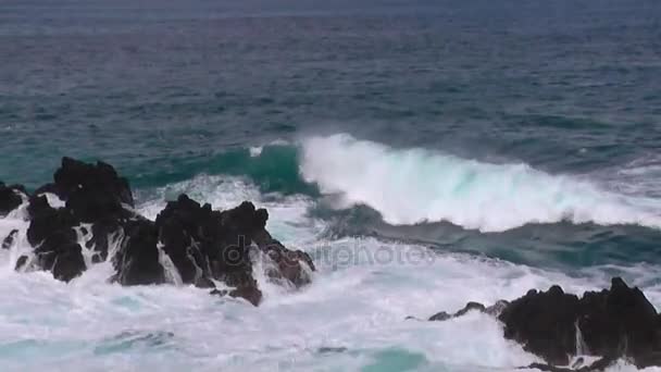 Porto Moniz Madeira — стокове відео