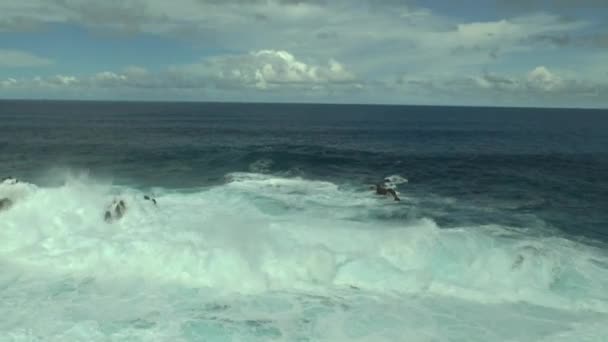 Porto Moniz Madeira — Vídeo de Stock