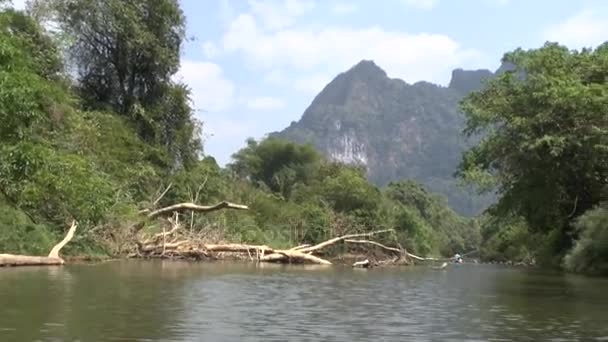 Khao Sok Milli Parkı Khao Lak Tayland — Stok video