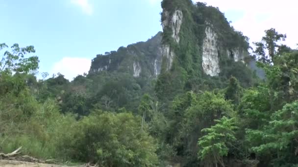 Khao Sok Nationaal Park Khao Lak Thailand — Stockvideo