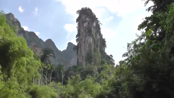 Khao Sok Nationaal Park Khao Lak Thailand — Stockvideo