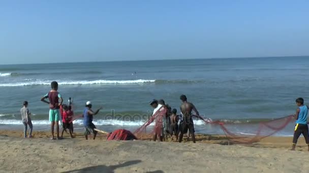 Visser Het Strand Sri Lanka — Stockvideo