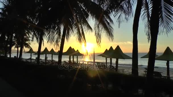 越南海滩日出 — 图库视频影像