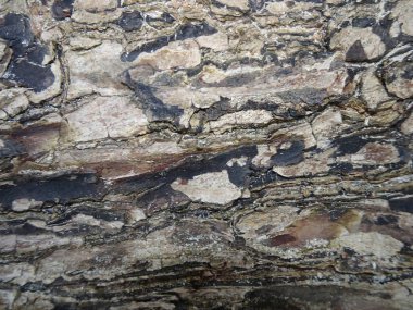 Güzel bir masöz ile eski ahşap