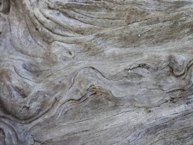 Güzel bir masöz ile eski ahşap