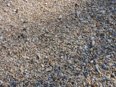 Kabuk mercan küçük taş ve kum kalır