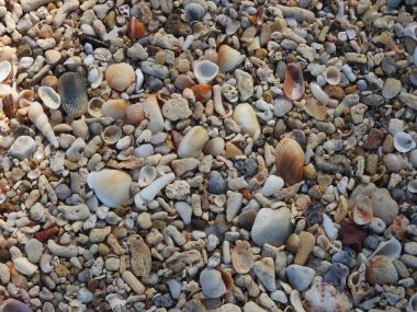 Kabuk mercan küçük taş ve kum kalır