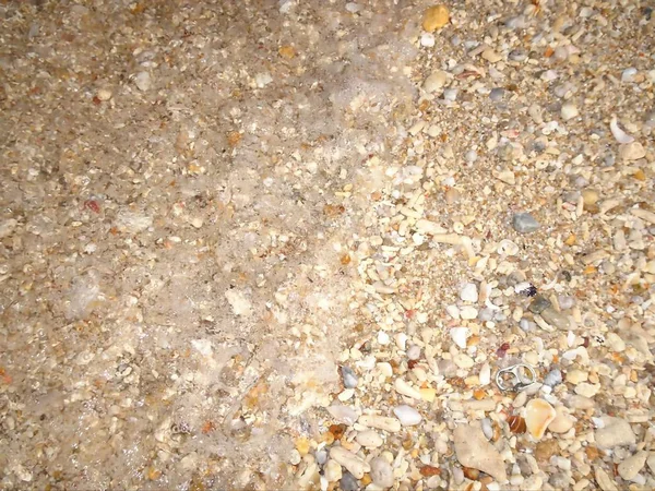贝壳仍然是珊瑚小石头和沙子 — 图库照片