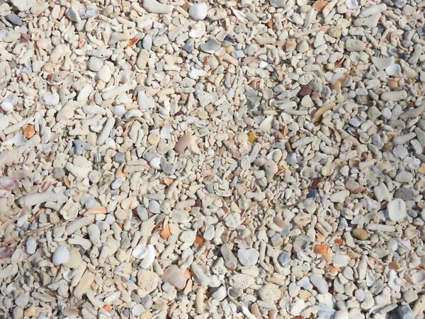Prostředí Zůstává Korálový Malé Kameny Písek — Stock fotografie