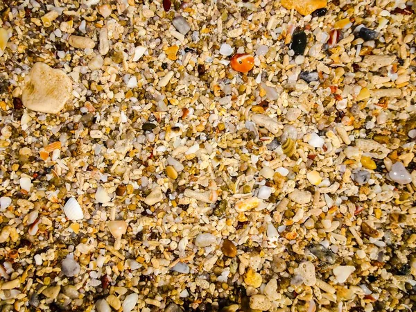Shell Förblir Korall Små Stenar Och Sand — Stockfoto