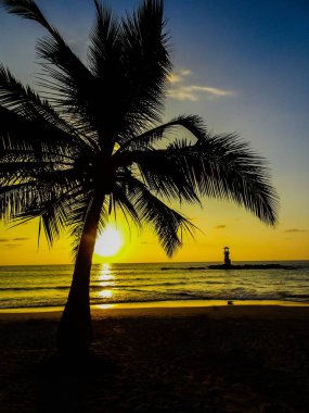Khao Lak Tayland at güzel kumlu plaj
