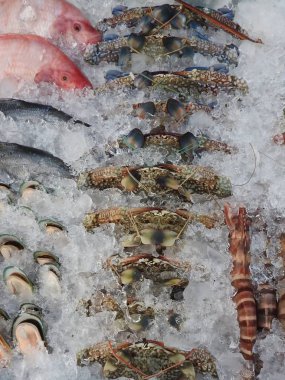 Khao Lak Theiland bir piyasada taze balık