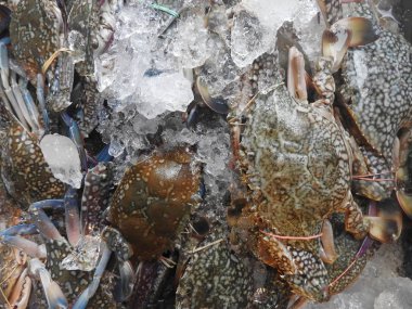 Karides bir Tayland tarihinde piyasa