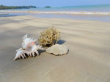 Seashell Tarih kumlu plaj, Khao Lak