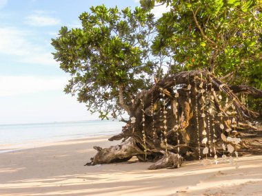 Khao Lak Tayland at güzel kumlu plaj
