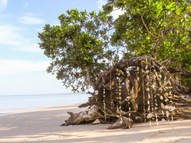 Khao Lak Tayland at güzel kumlu plaj