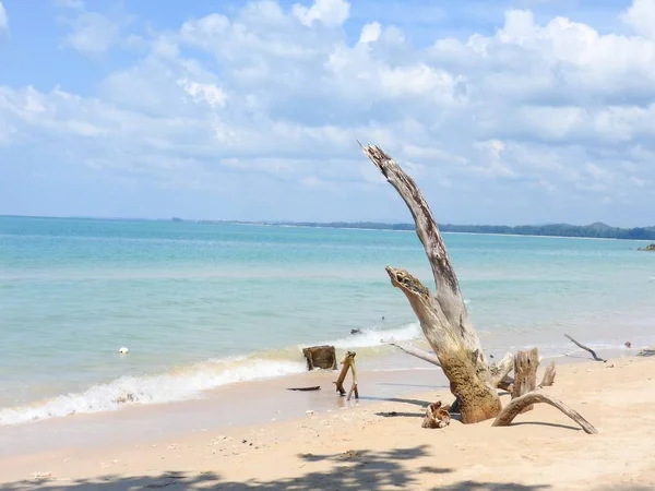 Гарний Піщаний Пляж Таїланді Khao Lak — стокове фото