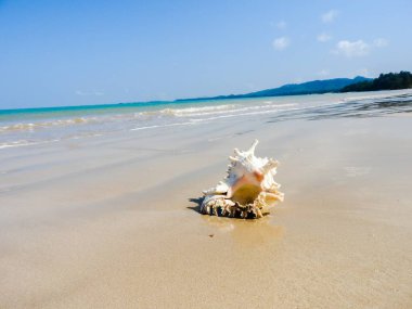 Seashell Tarih kumlu plaj, Khao Lak