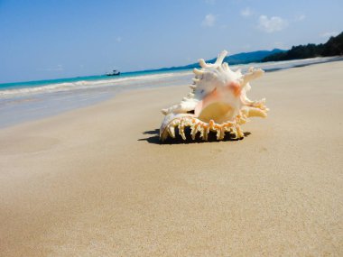 Seashell Tarih kumlu plaj, Khao Lak