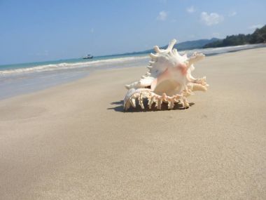 Seashell Tarih kumlu plaj, Khao Lak