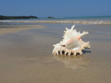 Seashell Tarih kumlu plaj, Khao Lak