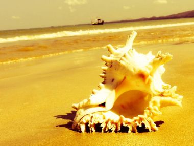 Seashell Tarih kumlu plaj, Khao Lak