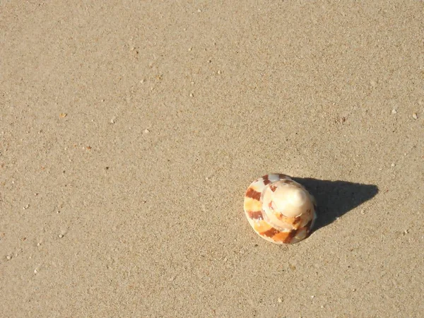 Praia Areia Bonita Khao Lak Tailândia — Fotografia de Stock