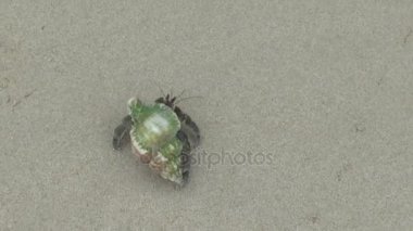 Yalnızcıl Yengeç üzerinde kumlu plaj, Khao Lak