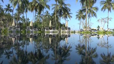 Palmiye ağaçları suda yansıtılır