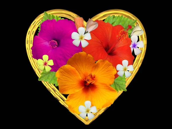 Flores Hibisco Corazón Dorado — Foto de Stock