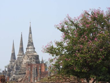 Ayutthaya Krallığı'nın eski başkenti