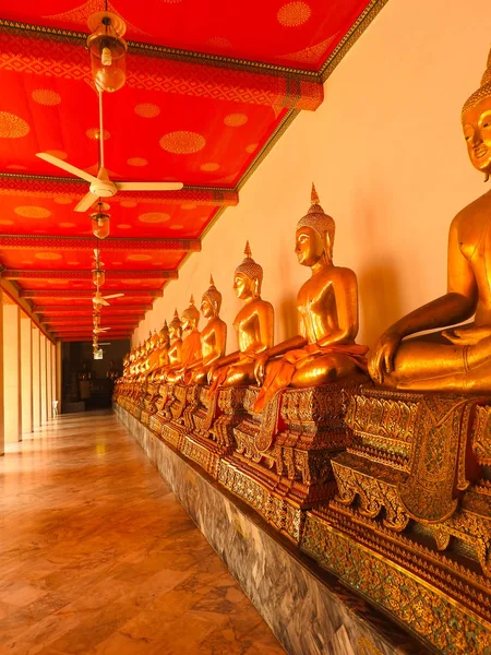 Altın Buddha Tapınağı bitki Tayland