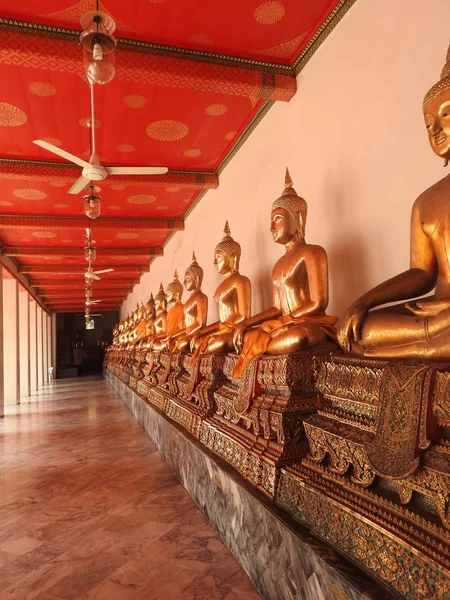 Altın Buddha Tapınağı bitki Tayland