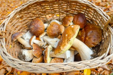 Sepette taze, güzel bir sepet