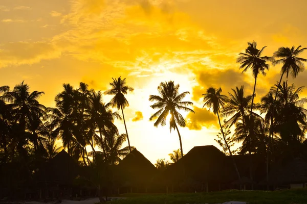 Tramonto Tramonti Sulla Spiaggia Kenya — Foto Stock