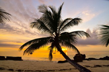 Kenya sahilinde gün batımı ve gün batımı