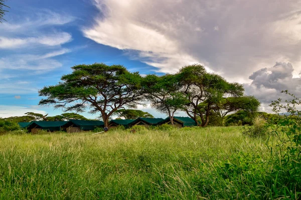 Τοπικές Εικόνες Από Εθνικό Πάρκο Tsavo East Tsavo West Και — Φωτογραφία Αρχείου