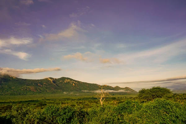 Landscape Pictures National Park Tsavo East Tsavo West Amboseli — Stock Photo, Image