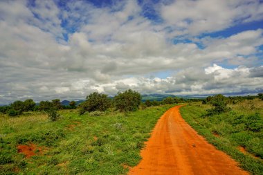 National Park Tsavo Doğu Tsavo West ve Amboseli 'nin manzara resimleri.