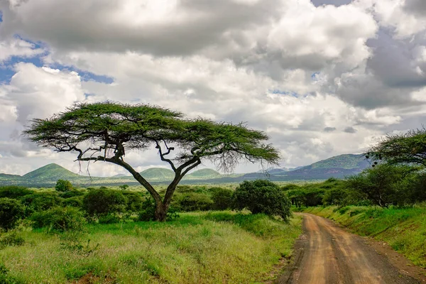 Paisagem Fotos Parque Nacional Tsavo East Tsavo Oeste Amboseli — Fotografia de Stock