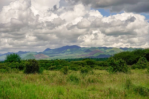 Photos Paysages Parc National Tsavo East Tsavo West Amboseli — Photo