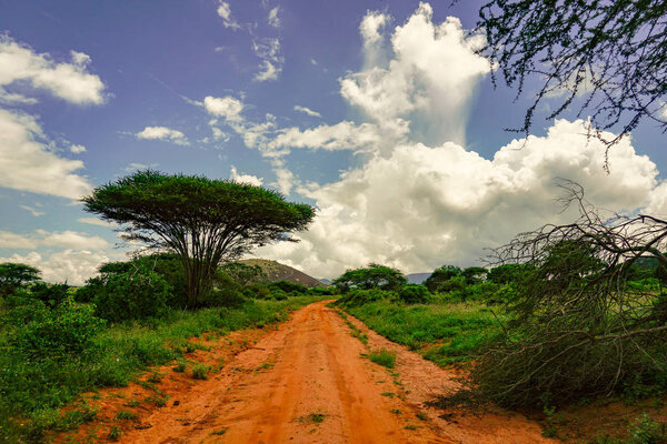 Landscape pictures from the National Park Tsavo East Tsavo West and Amboseli