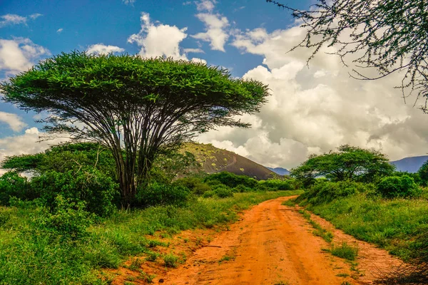 Landschaftsbilder Aus Dem Nationalpark Tsavo East Tsavo West Und Amboseli — Stockfoto